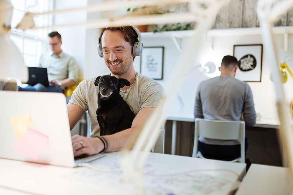 Take Your Dog to Work Day